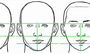 Image result for Face Proportions Drawing Practice