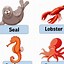 Image result for Sea Animals Activity