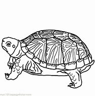 Image result for Turtle Coloring Pages Hard