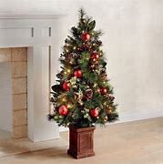 Image result for False Christmas Trees