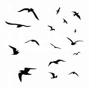 Image result for Bird Flock Silhouette