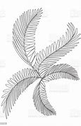 Image result for Coloring Page of Branch