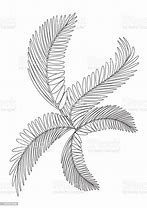 Image result for Coloring Page of Branch