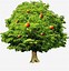 Image result for Apple Tree Clip Art Free