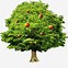 Image result for A Picture of an Apple Tree