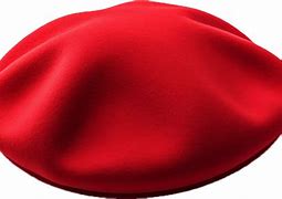 Image result for French Army Beret