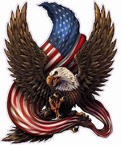 Image result for Patriotic Eagle American Flag