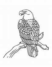 Image result for Coloring Pages of an Eagle