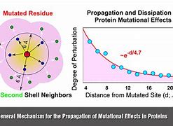 Image result for Protein Biophysics