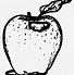 Image result for Apple Sketch Black and White