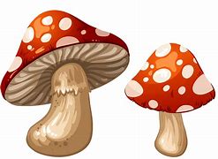 Image result for Whimsical Mushrooms Clip Art