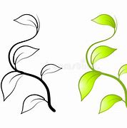 Image result for Green Leaf Vine Clip Art