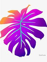 Image result for Rainbow Leaf Logo