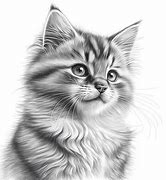 Image result for Halloween Cat Coloring