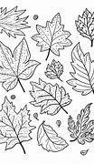 Image result for Fall Leaf Coloring Sheet