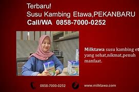 Image result for Kambing Peranakan Etawa