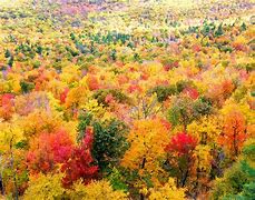 Image result for Fall Landscape Clip Art