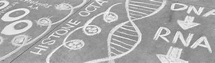 Image result for Icon DNA Chalk