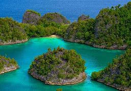 Image result for Tropical Island Ocean