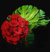 Image result for Cool Red Rose Wallpapers