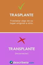 Image result for Spanish Vocabulary Preschool