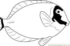 Image result for Blue Tang Fish Coloring Pages