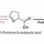 Image result for Biosynthesis of Essential Amino Acids