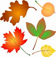 Image result for Simple Fall Clip Art