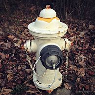 Image result for White Fire Hydrant