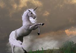 Image result for Unicorn JPEG-image