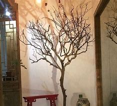 Image result for Dry Tree Branches Decoration