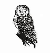 Image result for Owl SVG