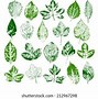 Image result for Leaves with Names