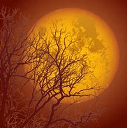 Image result for Birch Tree Silhouette