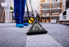 Image result for Professional Carpet Cleaning Images