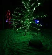 Image result for Halloween Tree Lights