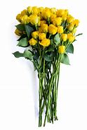 Image result for Yellow Spray Roses