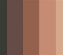 Image result for Color Tone for Security