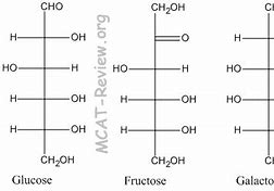 Image result for Galactose Monosaccharide