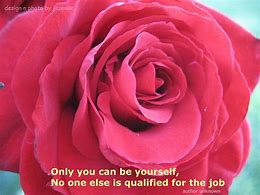 Image result for Rose Sayings