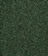 Image result for Green Carpet for Inside