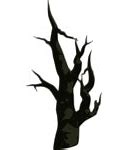 Image result for Dead Tree Branch PNG