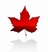 Image result for Canadain Maple Leaf Metal Sign Silhouette