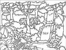 Image result for Kids Coloring Forest