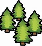 Image result for Larch Tree Clip Art