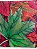 Image result for Maple Leaf Painting