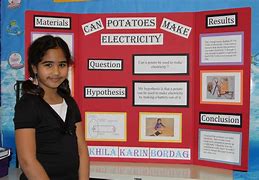 Image result for Bubble Science Fair Project