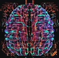 Image result for Cybernetics