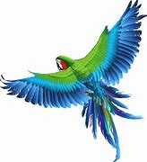 Image result for Colourful Birds Clip Art