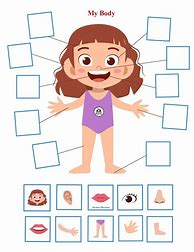 Image result for Body Part Activity for Preschool